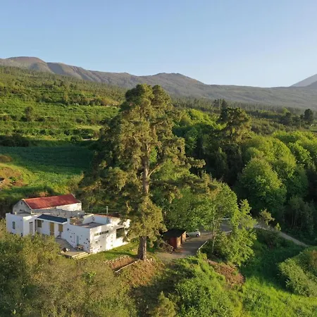 샬레 El Pino Centenario 4 로스 레알레호스