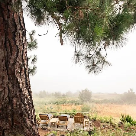 בקתה El Pino Centenario 4