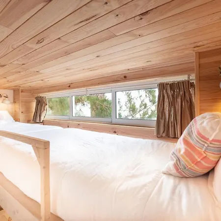 El Pino Centenario 4 * לוס ריאלחוס