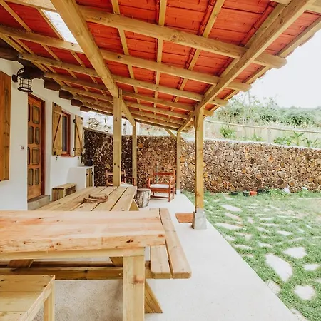 El Pino Centenario 4