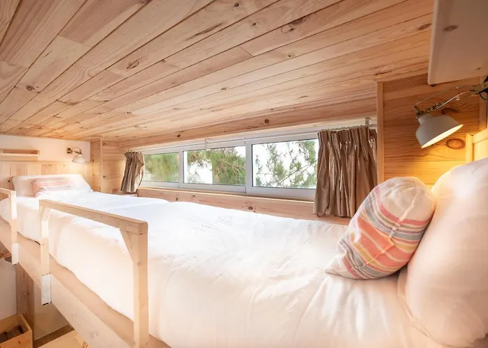 El Pino Centenario 4 * ロス・レアレホス