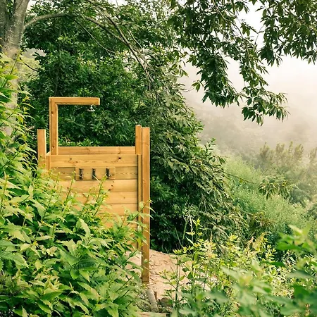 Chalé El Pino Centenario 4