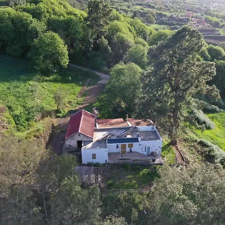 Chalé El Pino Centenario 4