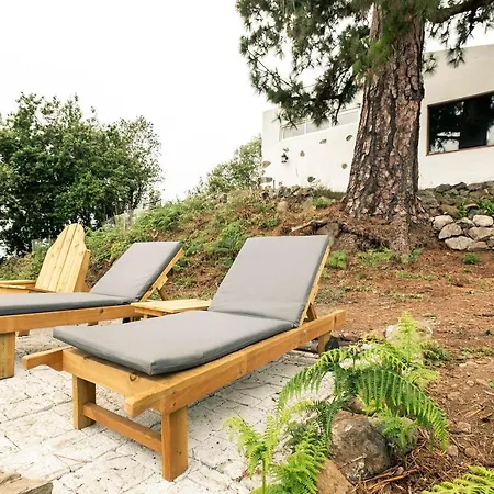 El Pino Centenario 4